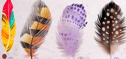 Discover Your Life Mission by Choosing Your Favorite Feather