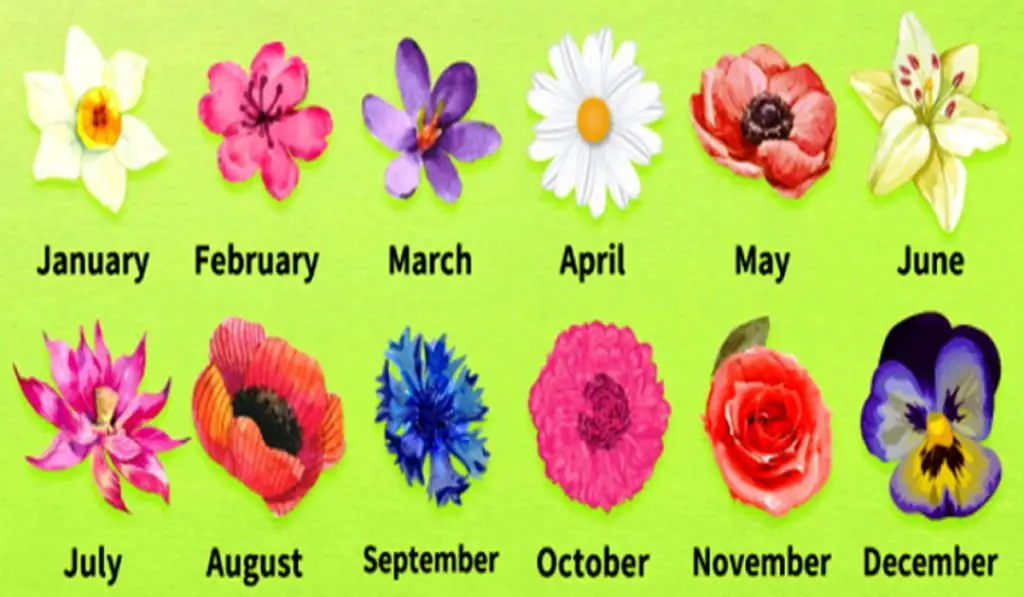 Personality Test - Discover What Is Your Birth Flower and What is ...