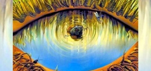 The First Thing You See In The Image Will Tell A Lot About Your Way Of Being