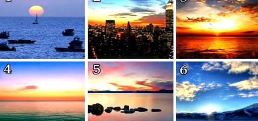 The Sunset You Like The Most Helps You Discover Your Life Purpose