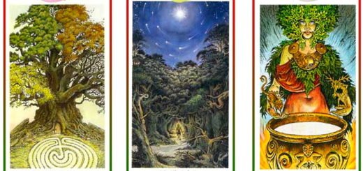 What Did I Learn This Christmas Choose One of the Cards and Discover its Message