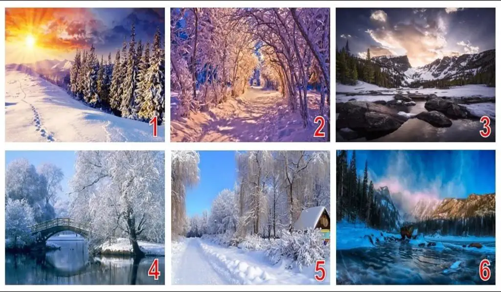 What Kind of Surprises Winter Has in Store For You - Choose a Landscape