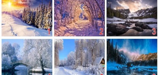 What Kind of Surprises Winter Has in Store For You - Choose a Landscape