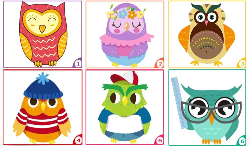 Your Most Favorite Owl Will Reveal New Aspects of Your Character