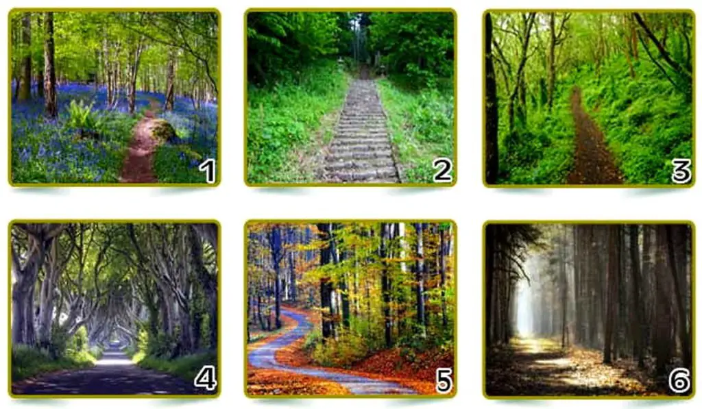 Take Your Favorite Path and Discover What Your Choice Reveals About YOU