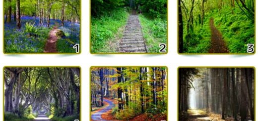Take Your Favorite Path and Discover What Your Choice Reveals About YOU