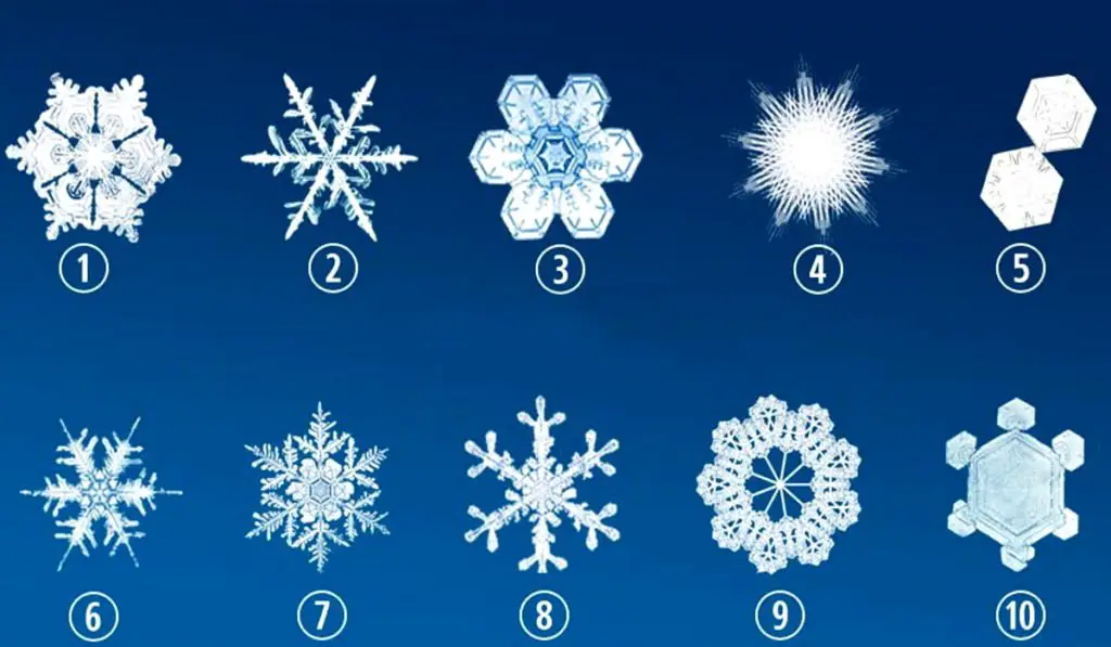 Choose The Snowflake You Like The Most And Discover Something Interesting About Yourself