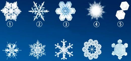 Choose The Snowflake You Like The Most And Discover Something Interesting About Yourself