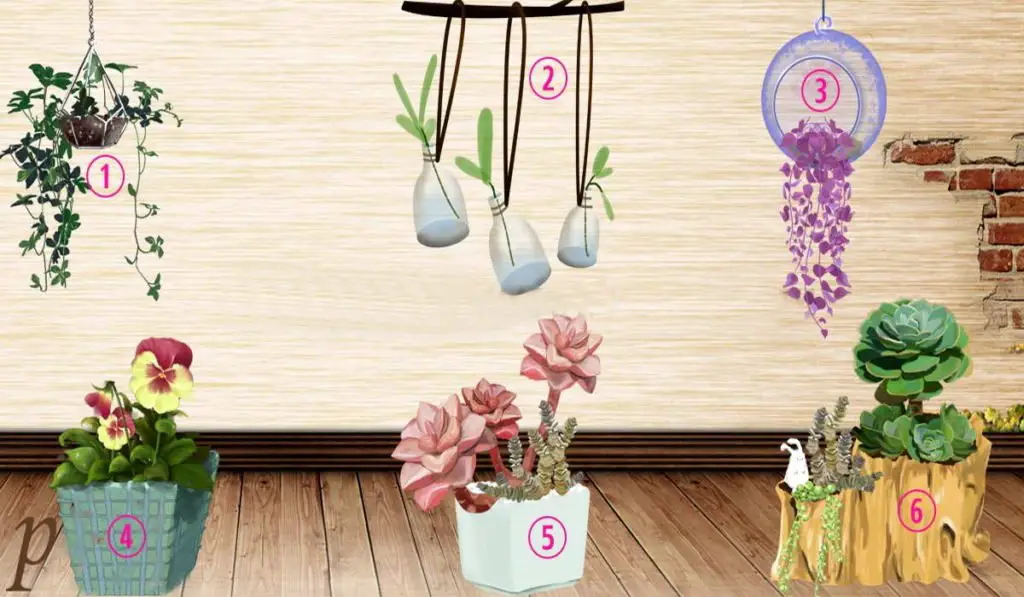 Are You Curious To Discover What Bothers Others About You? Choose a Plant