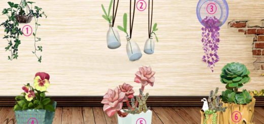 Are You Curious To Discover What Bothers Others About You? Choose a Plant