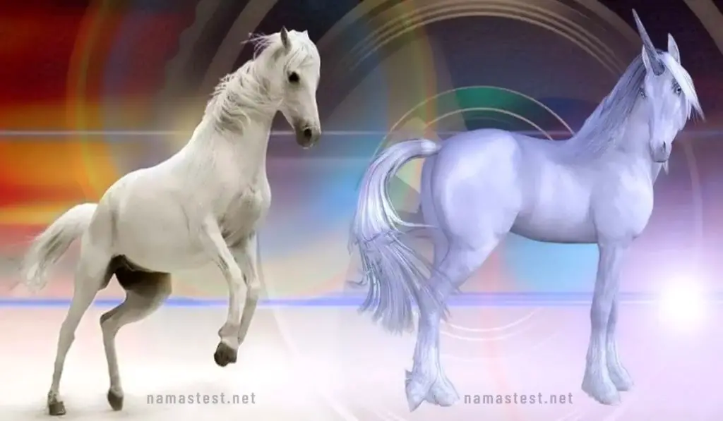 Are You Pessimistic or Optimistic Choose Your Favorite Animal & Find Out What It Says About You