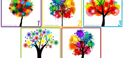 In Which Of The Trees Would You Choose To Spend The Longest Time With Yourself