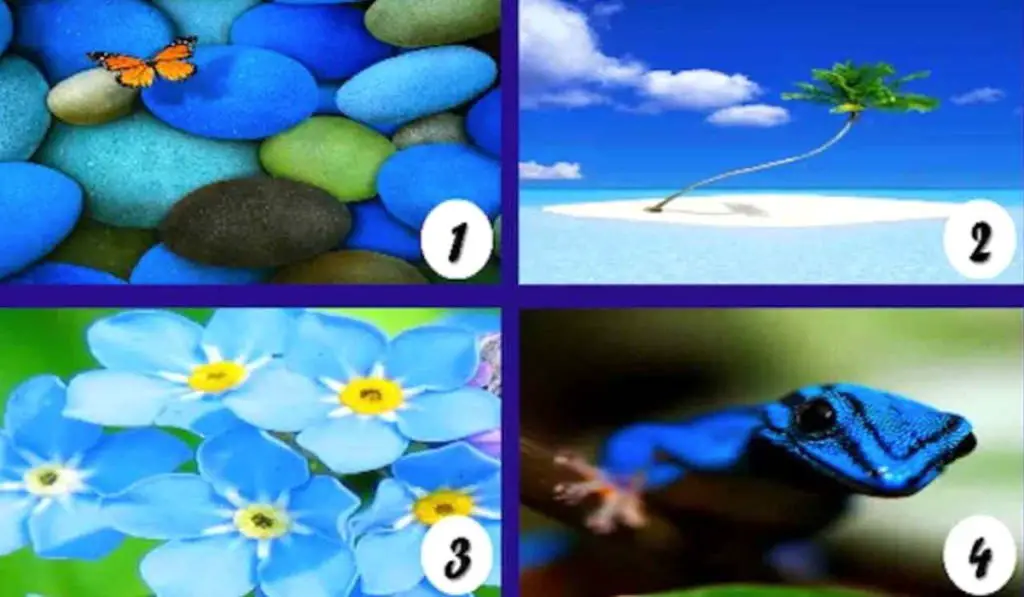Psychological Test Of Color Blue Reflects Hidden Aspect Of Your Character