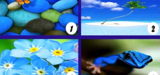 Psychological Test Of Color Blue Reflects Hidden Aspect Of Your Character