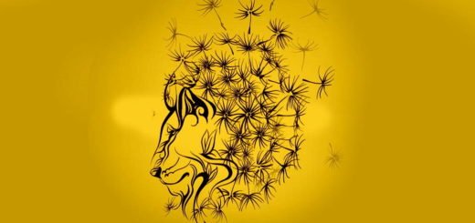 What Did You See First Discover the Character Traits that You Have Since Birth