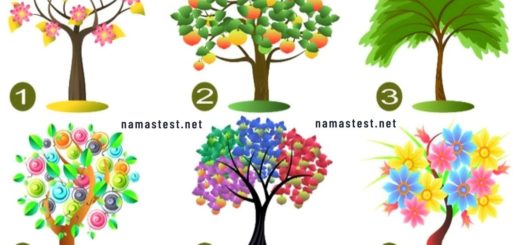Discover Your TWO BEST Qualities of Your Character by Choosing a Tree You Like Best