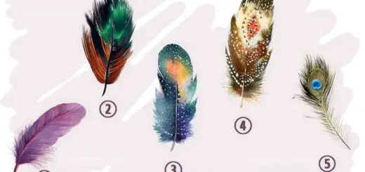 The Feather You Choose Will Reveal Hidden Aspects Of Your Inner Being