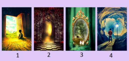 The Image You Choose Brings an Important Advice For You - Choose Wisely