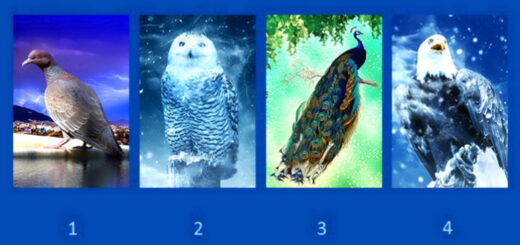 Choose One Of These Birds And Discover Your Strengths And Weaknesses