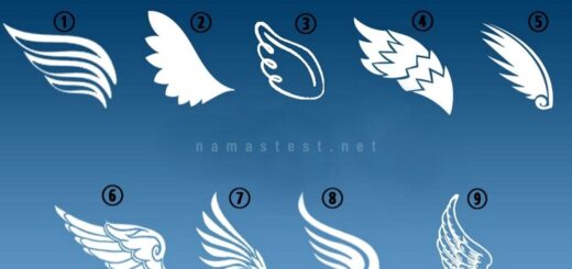 Choose The Angel Wing You Like The Most And Discover What Your True Self Is