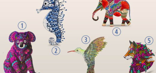 Choose One of the Animal Totems and Discover Your Spiritual Power