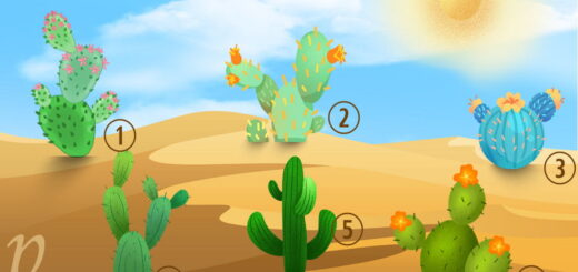 Choose a Cactus And Find Out What Your Inner Voice Says