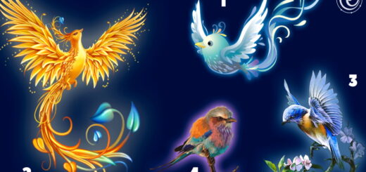 The Magic Bird You Choose Will Tell You What Awaits You Next Month