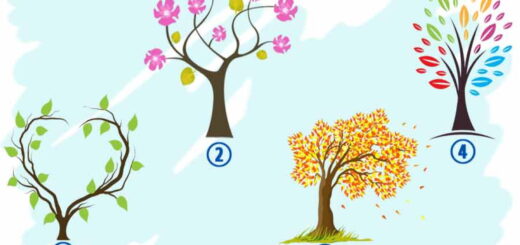 What Emotion Dominates Your Life Right Now Choose a Tree to Find Out