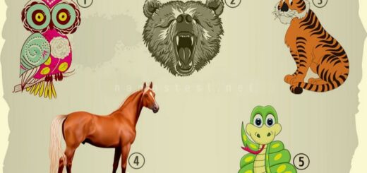 Which Animal Resonates With You? Discover Your Spiritual Connection With It