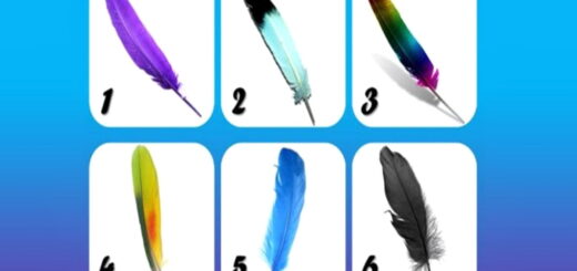 The Feather Your Choose Reveals Your Biggest Challenges Also Has a Message for You