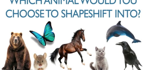 Which Animal Would You Love to Transform Into Discover Your Power