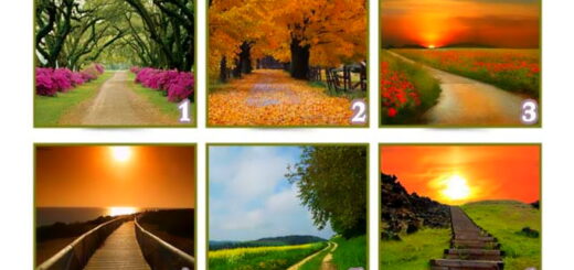Which Path do You Choose Discover the Meaning of Your Choice