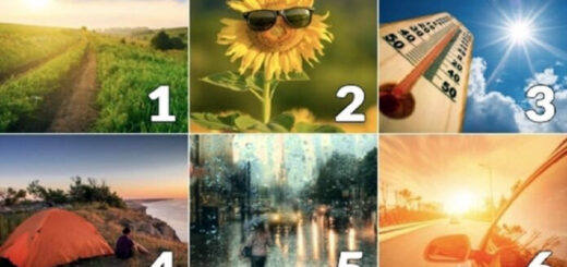 Find Out What To Expect In August & What Exactly Will Help You Find Happiness