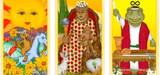 Oracle Cards What Changes Will You Have For The Next Days In Your Life