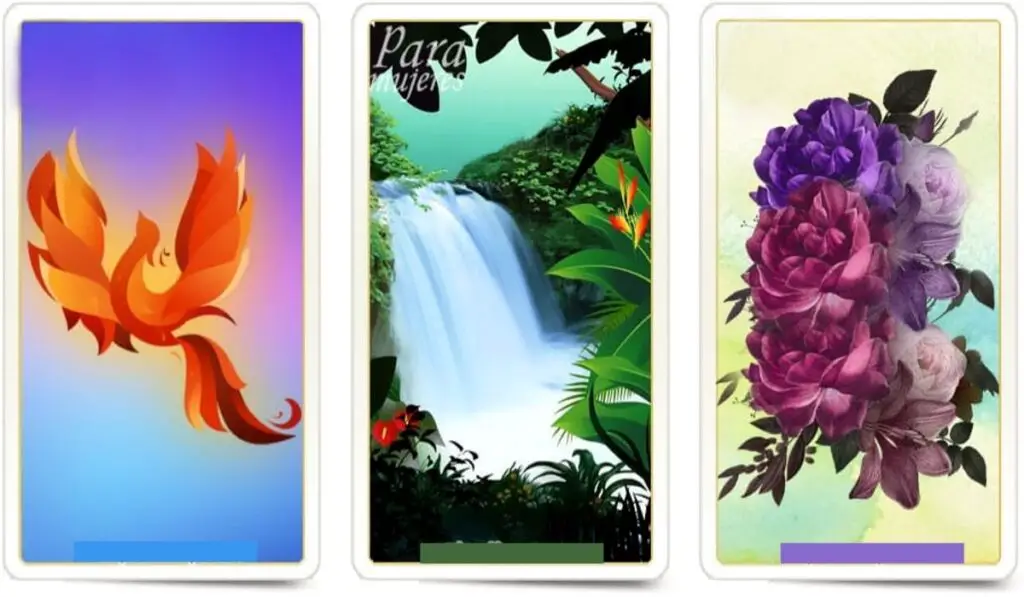 Receive a Heavenly Message for this New Week - Choose a Card