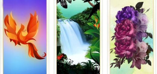 Receive a Heavenly Message for this New Week - Choose a Card
