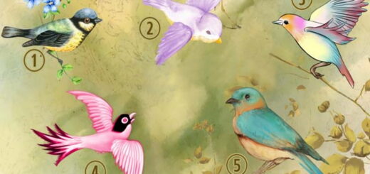 Universe Has Your Back - Receive a Special Message from the Little Bird