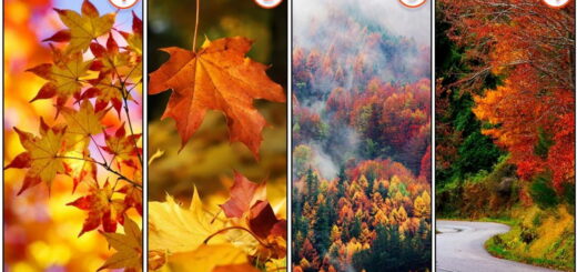 What Is Your Favorite Fall Landscape Discover Something New About Yourself