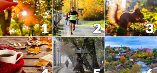 Discover What Will Happen To You During the Second Half of September