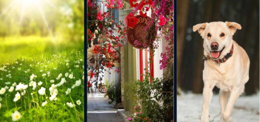 Discover How Your Thoughts And Emotions Are Right Now