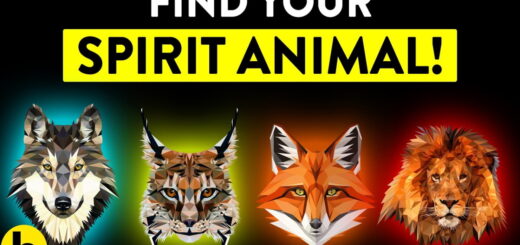 Find Your Spirit Animal With This Simple Test